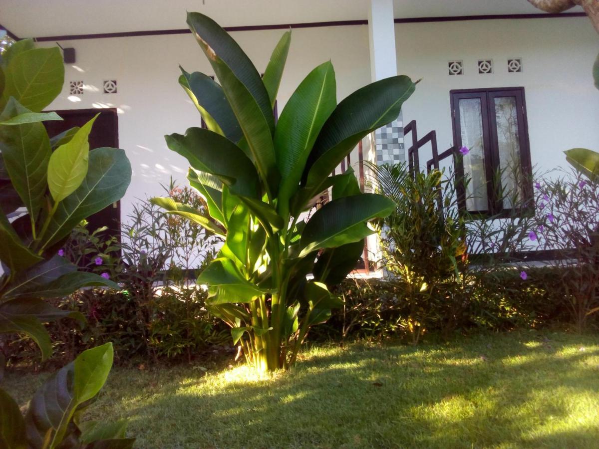 Ariata Arya Hostel Kuta  Exteriör bild
