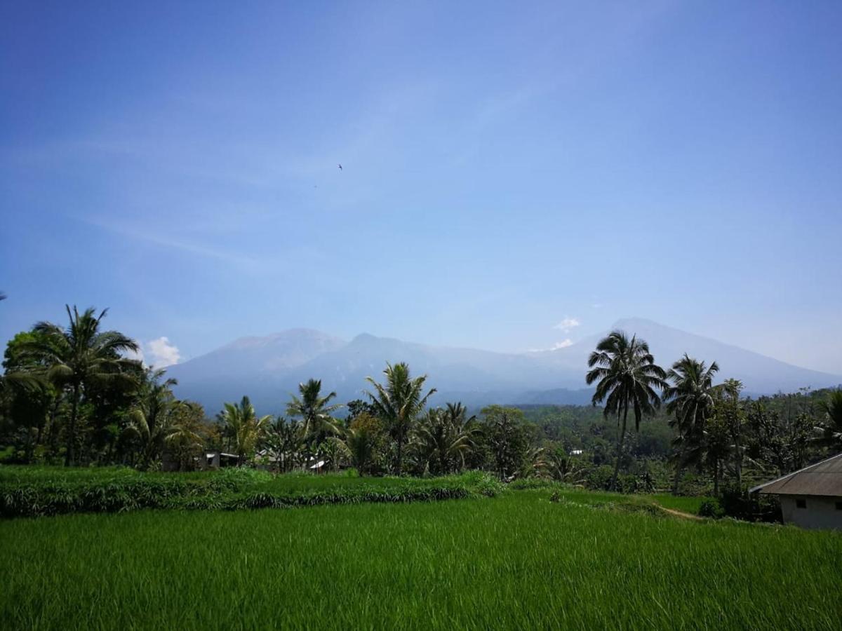 Ariata Arya Hostel Kuta  Exteriör bild